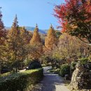 하대동237 이미지