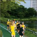 정발산공원 화장실-2 이미지