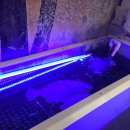 구영회 참치앤초밥 이미지