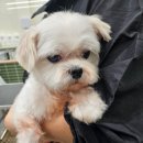 개미용 학원 현장에서 본 전문가 양성 과정