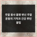 웰니스짐 이미지