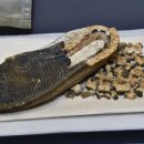 청년운동화 이미지