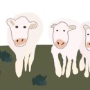 선물 for you 이미지