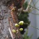 진식태극권수련원 이미지