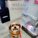 내사랑동물병원 네이버블로그