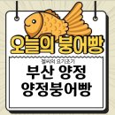 오성약국 | 부산 양정 매일 다른 오늘의 붕어 붕어빵 양붕