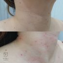 일산실면도