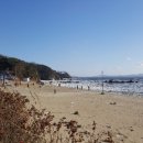 어류정항 인근