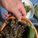 도희네 장어 | 여수 죽림 도희네장어, 3번째 방문한 우리동네 장어 맛집 솔직후기