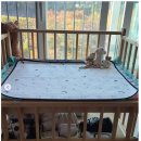 우두1길 이미지