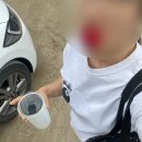 냥집사전기 | 7월 최선은 다했는데 티가 안 날 뿐