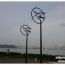 누리마루 이미지