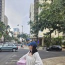도넛킹 - 제주시 건주로4길 24 | 하와이 도넛 맛집 도넛킹 메뉴 추천 및 가격 등 후기
