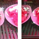 한우힘센놈 이미지