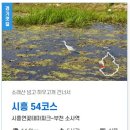경기둘레길 시흥54코스 | [경기둘레길 시흥54코스] 시흥연꽃테마파크에서 부천소사역까지 걷는 둘레길