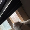 보스턴짐 상갈점 | 2025, FEB