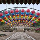 다온이상점 이미지