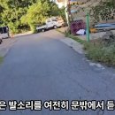 [펫로스 텔링] 이별 아닌 이별 이미지