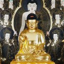 진주 월명암 목조아미타여래좌상 이미지