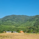 오지산행후기(1365차) 가평 꽃송이버섯 정찰(Ⅱ) 2026.06.17(수)