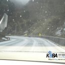 경지양돈 이미지