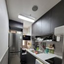 스테이 레브 이미지