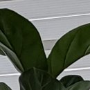 목동신정형외과의원 이미지