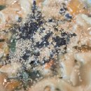 나그네손칼국수 이미지