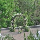 그린예식장 이미지