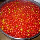 보리수어린이집 이미지