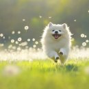 담아내기 이미지