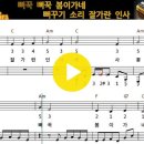 25.뻐꾸기(BPM설명) 이미지