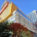 차이홍 성인중국어로 공부하고 HSK 2급 합격! 내돈내산 후기