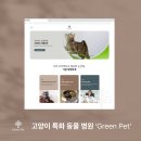 히어로동물병원 | Green Pet 동물병원 홈페이지 제작사례