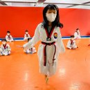 정도태권도장 이미지