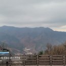 봉 테크