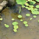 한새봉농업생태공원 이미지