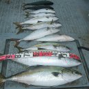 복사초등학교2 이미지