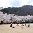 소달초교 이미지