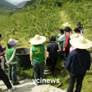 농협군지부 직원 체육행사 대신 상리면 고항동 농촌일손돕기 이미지