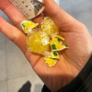 흐름 | 제주시청 파스타 흐름 후기 I 데이트하기 좋은 양식집