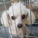 신창면 서부북로 이미지