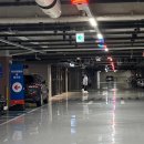 2025년 케이펫페어 마곡 코엑스 다녀온 토요일 후기 + 떼샷
