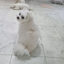 멈무유치원 이미지