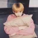 핑크장 이미지