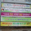 대반초교 Daum카페