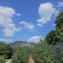 주봉농장 | [청송 여행] 주왕산 국립공원 주봉 등산코스와 용추폭포, 용추협곡 가는 길