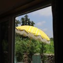 코코트리 이미지