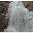 쌍    암 이미지