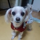 우리장례식장 이미지